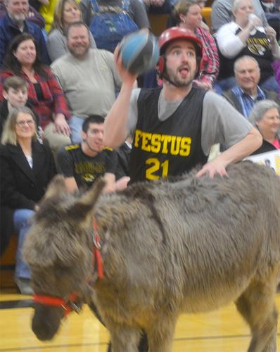 festus donkey (4).jpg
