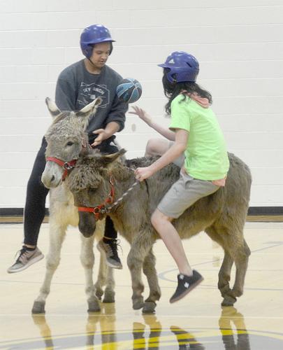 festus donkey (5).jpg