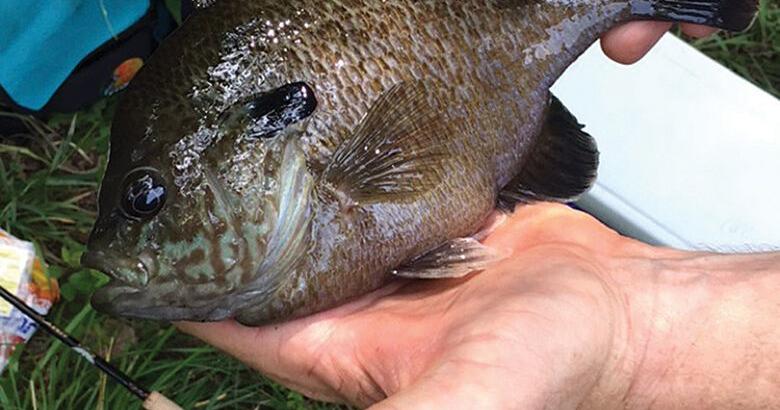OUTDOORS: Blue moon doubles favorite fishing time in May