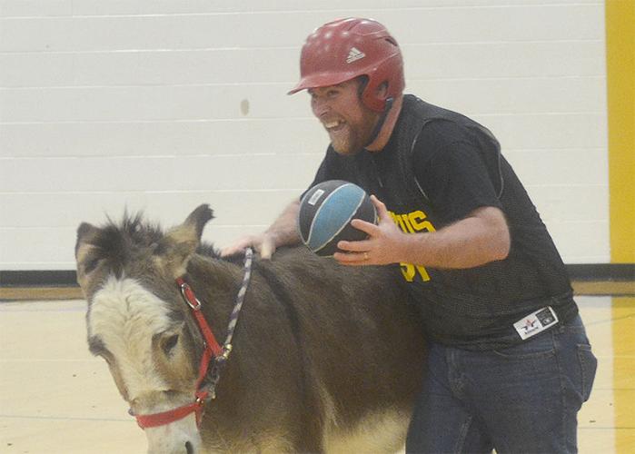 festus donkey (7).jpg