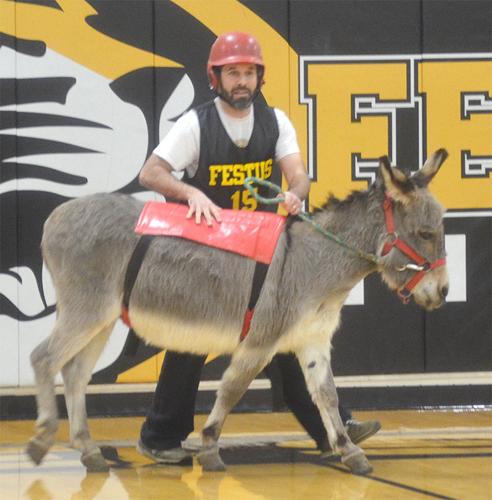 festus donkey (8).jpg