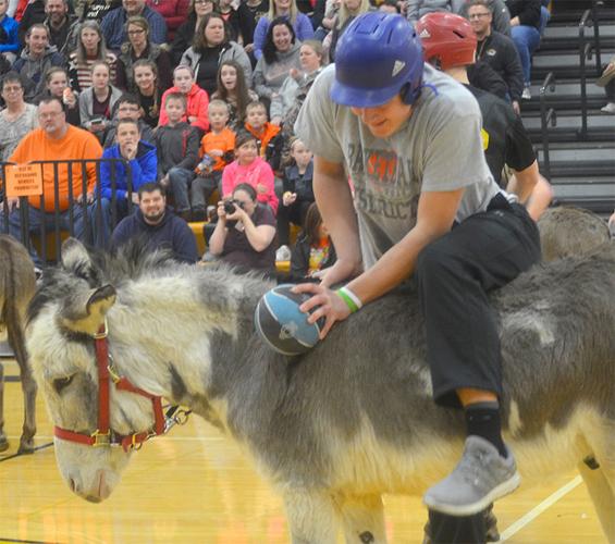 festus donkey (9).jpg