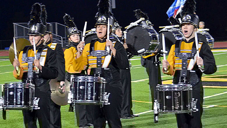 festus bands (1).JPG