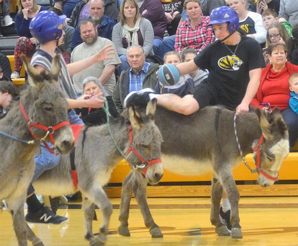 festus donkey (10).jpg
