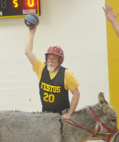festus donkey (11).jpg