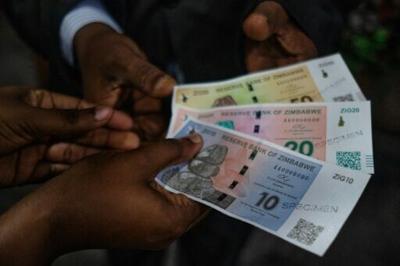 Zimbabwe's government said the Qatari investment amounted to $19 billion, including $500 million for a hydro-electricity project