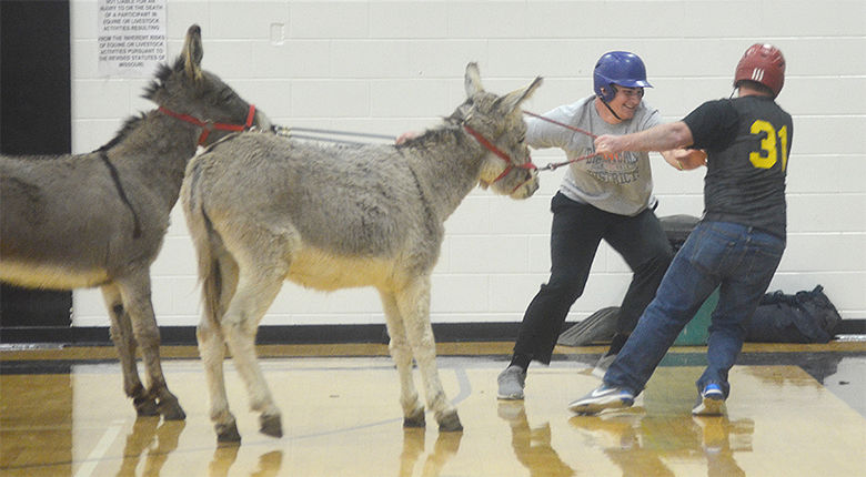 festus donkey (12).jpg