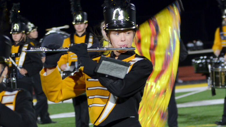 festus bands (4).JPG