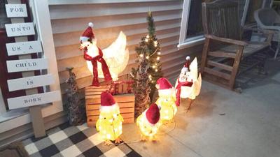 Christmas Chickens
