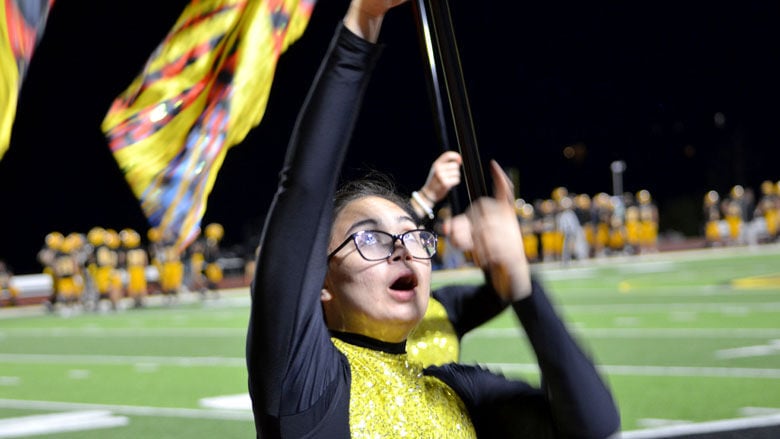 festus bands (6).JPG