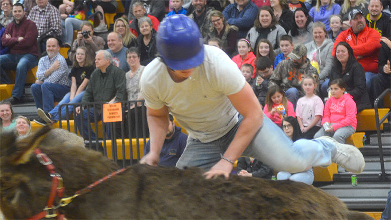 festus donkey (14).jpg