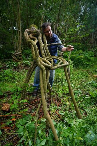 Couple run Britain’s first furniture orchard growing chairs on trees
