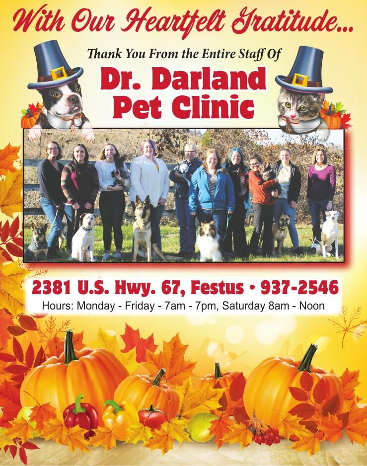Darland Pet Clinic 3