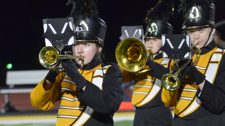 festus bands (8).JPG