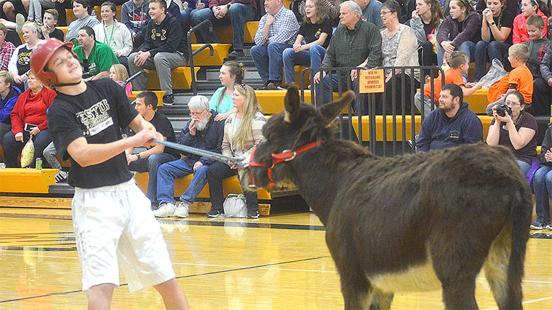 festus donkey (16).jpg