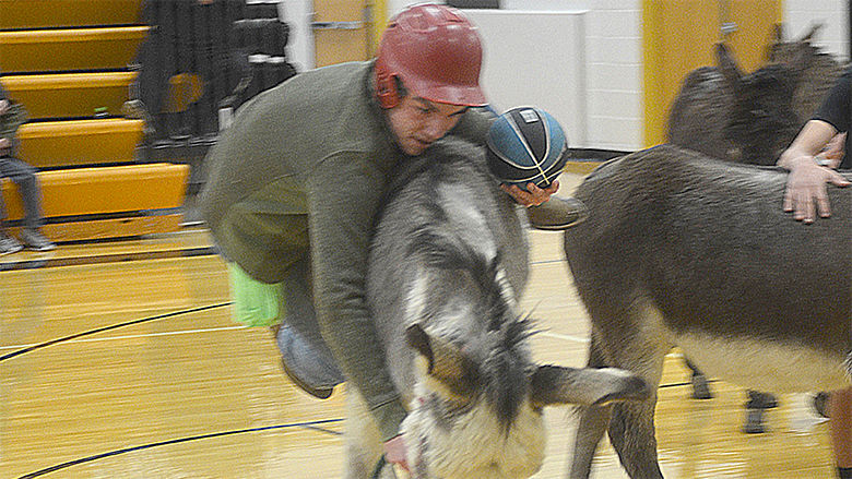 festus donkey (18).jpg