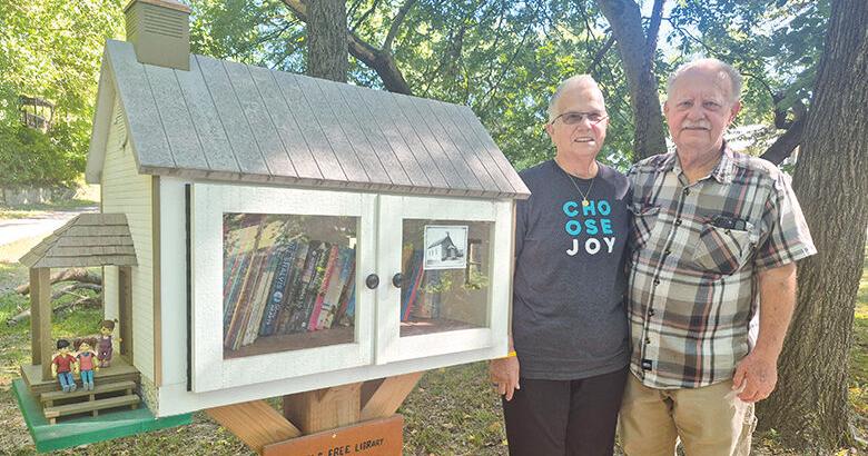 Dan Patterson makes Lone Dell School library | Local News