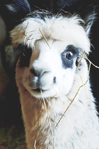 State farmers market conference attracted crowd to De Soto 