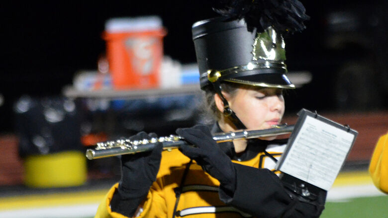 festus bands (16).JPG