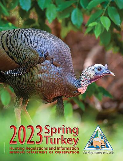 spring turkey guide