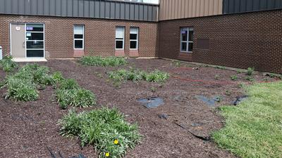 Eureka High School sustainability garden