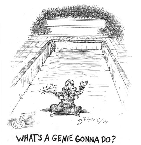 6-27 Jeffco pool genie.jpg