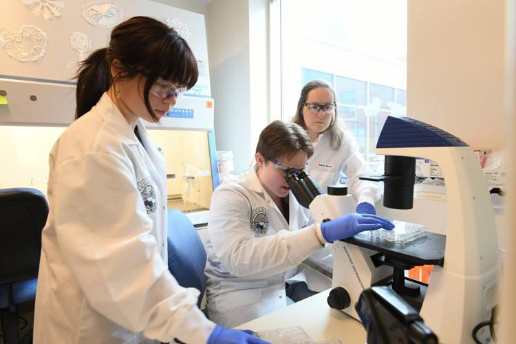 New ways to prevent flu being developed following “accidental” lab breakthrough
