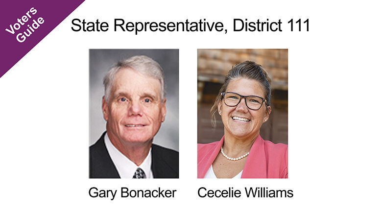 State Representative, District 111 aug. 6 2024