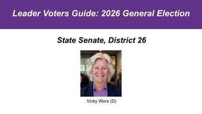 Voters guide: State Senate District 26