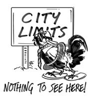 Raising chickens  – roosters, too –  has ups, downs