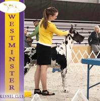 Good news: Northwest High student competes in Westminster dog show