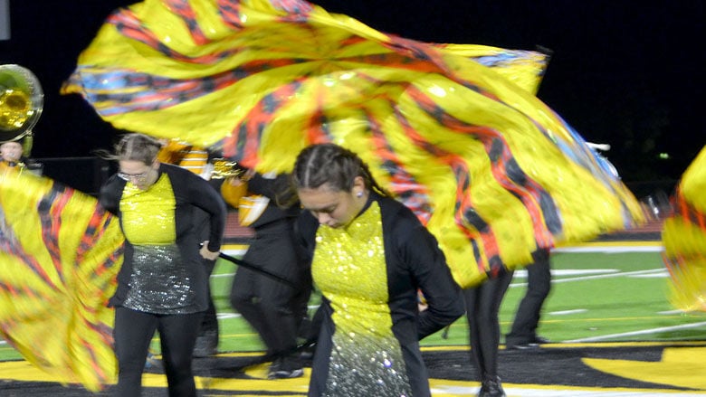 festus bands (38).JPG