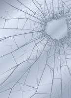 Rear window of van smashed while parked outside home on Wild Hawk Drive