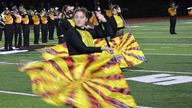 festus bands (43).JPG