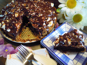 Mississippi Mud S'mores Fudge Pie