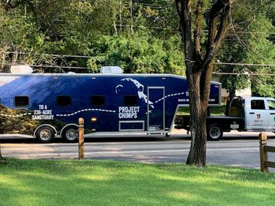 A Project Chimps vehicle was used to transport six chimps from a Festus-area facility to Florida.