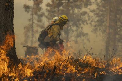 Wildland firefighters light a backfire while battling a fire near Mariposa, Calif., in 2022.