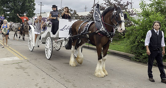 Ted Howell D3-116.jpg