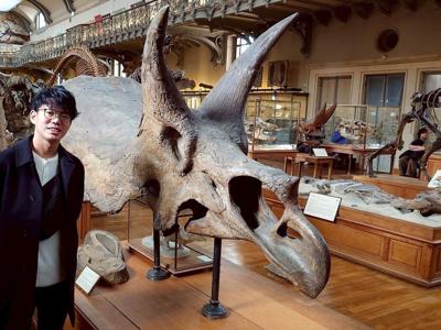 triceratops_featured