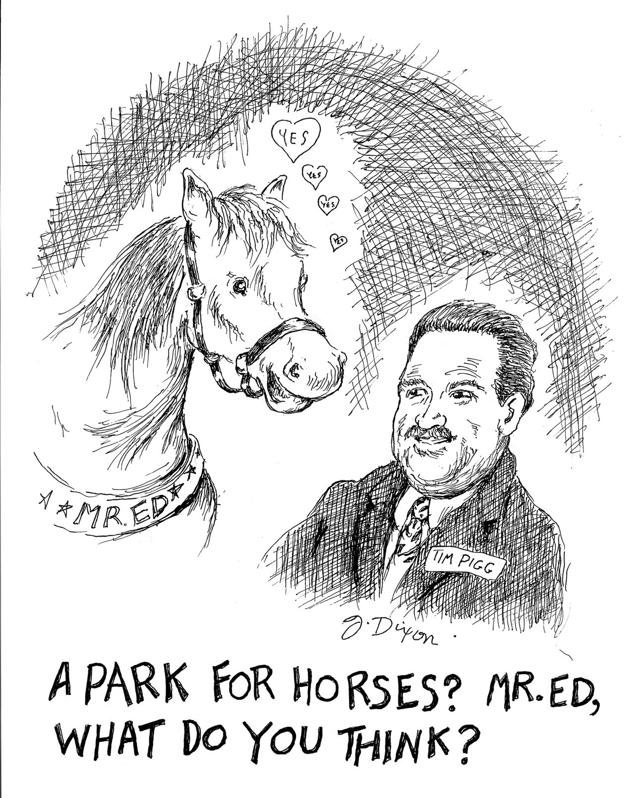 No horsing around: Equine lovers’ dream within reach