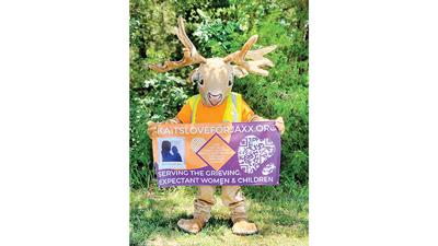 James the Safety Buck