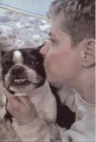 Pet spot: Bahr family loves Boston terriers