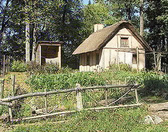 Struggling for Survival