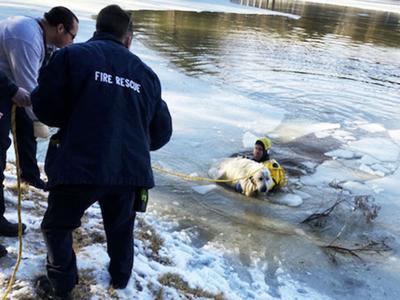 Mapaville FPD Chief Dave Brown said we could use his pic of rescue posted on Facebook. I put a copy of it in NEWS 2-25. There are a couple of other guys in photo, but rescuer bringing dog out of ice is Hillsboro FPD Capt. Kyle Huskey. No IDs on others i...