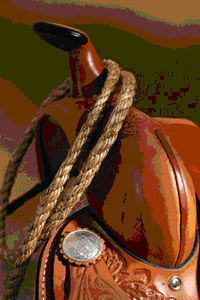 Saddles, other items stolen from unlocked barn, horse trailer in Pacific 