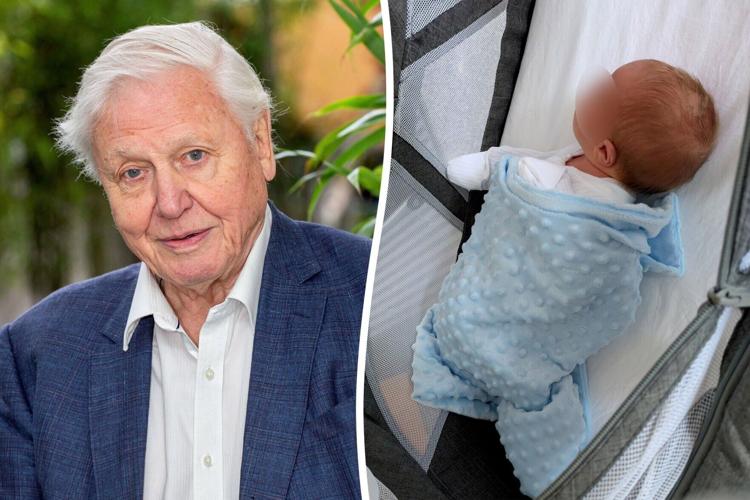 Baby born on Attenborough’s 100th birthday named after environmentalist