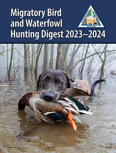 waterfowl guide