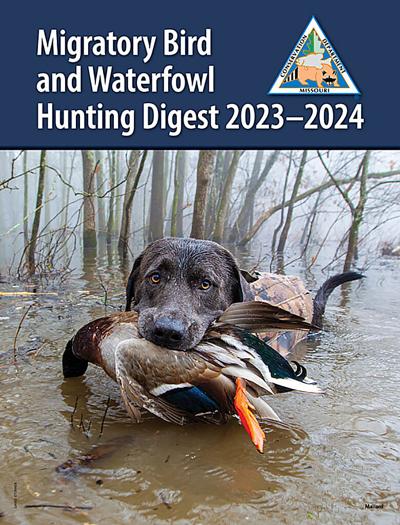 waterfowl guide