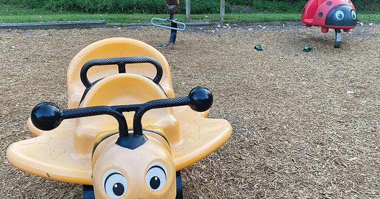 OUTDOORS: Funding for state parks on August ballot