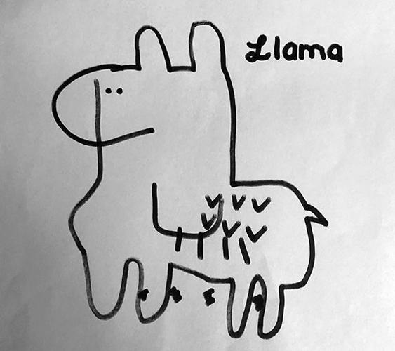 Kyleigh Weiler, 5th grade, Jefferson R-VII blindfold drawing of llama.jpg